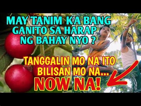 Cheating Wife Bilisan mo Pumunta ka na sa Bahay Umalis na si .